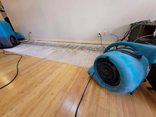 Professional Flood Damage Cleanup technician working in Central, LA